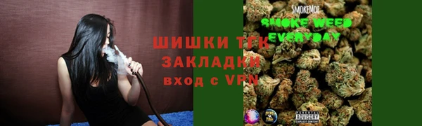молекула духа Краснослободск