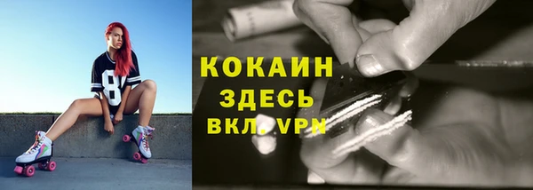 молекула духа Краснослободск