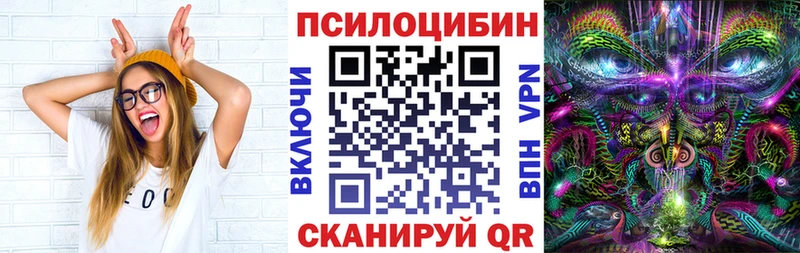 Галлюциногенные грибы Psilocybine cubensis  Купить где  Красный Холм 
